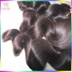400g/lot Authentic Raw Virgin Hair Vendor 100% Unprocessed Brazilian Loose Wave Spirl Lazy Curls Grade 10A 400g/lot Authentic Raw Virgin Hair Vendor 100% Unprocessed Brazilian Loose Wave Spirl Lazy Curls Grade 10A