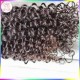 Latest New Hair Type Best Quality 10A Burmese Curly Weave Raw Virgin Unprocessed Natural curls 1 piece deal Latest New Hair Type Best Quality 10A Burmese Curly Weave Raw Virgin Unprocessed Natural curls 1 piece deal