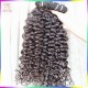 Sexy Lady Unprocessed Bouncy Curly 10a Raw virgin Burmese Temple Hair No Tangle No Shedding Human Hairs Wefts 3pcs/lot Sexy Lady Unprocessed Bouncy Curly 10a Raw virgin Burmese Temple Hair No Tangle No Shedding Human Hairs Wefts 3pcs/lot