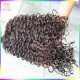 Sexy Lady Unprocessed Bouncy Curly 10a Raw virgin Burmese Temple Hair No Tangle No Shedding Human Hairs Wefts 3pcs/lot Sexy Lady Unprocessed Bouncy Curly 10a Raw virgin Burmese Temple Hair No Tangle No Shedding Human Hairs Wefts 3pcs/lot
