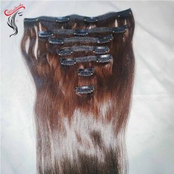 Classical Clip ins Filipino Straight Human Hair Dyed into #2 dark brown 7pcs/set ship in 3-4 days preorder