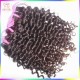 4pcs/lot Top 10A Lower maintenance Fashion Romance Bouncy Curly Virgin Unprocessed Malaysian Hair Extensions 4pcs/lot Top 10A Lower maintenance Fashion Romance Bouncy Curly Virgin Unprocessed Malaysian Hair Extensions