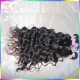 Crochet Wet and Wavy Style 2pcs/lot Ocean Water Wave Mongolian Virgin Raw Hair Weave Spring Curl Kiss Locks Raw hair Company Crochet Wet and Wavy Style 2pcs/lot Ocean Water Wave Mongolian Virgin Raw Hair Weave Spring Curl Kiss Locks Raw hair Company