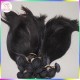 Grade 10A Single bundle Special Price Natural Silky Shine Quality Virgin Persian Human Hair RAW Hair Vendor 2023 Trend Fashion Grade 10A Single bundle Special Price Natural Silky Shine Quality Virgin Persian Human Hair RAW Hair Vendor 2023 Trend Fashion